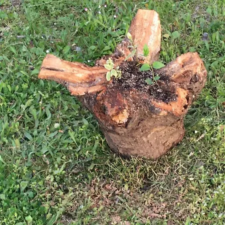 Semesterbostad Maria *