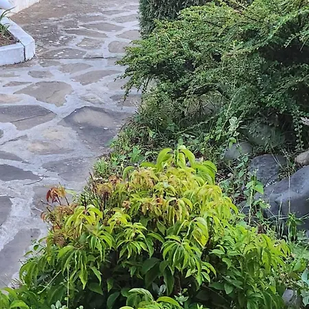 Maria Semesterbostad Achtopol