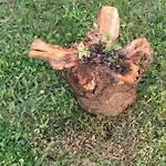 Case de vacanță Maria *